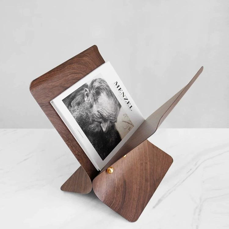 Modern Luxury Metal Magazine Rack