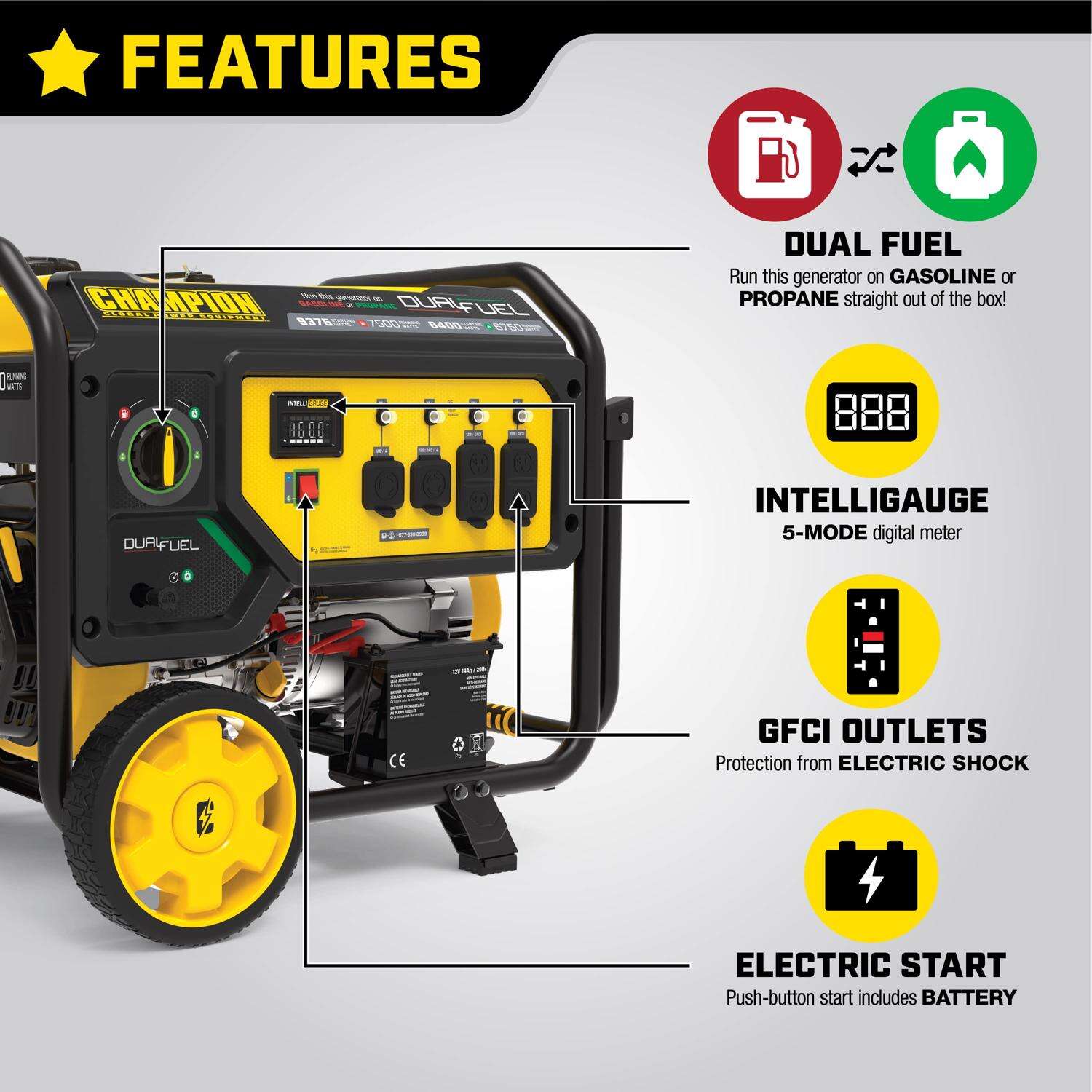 Champion 7500 W 240 V Gasoline or Propane Portable Generator