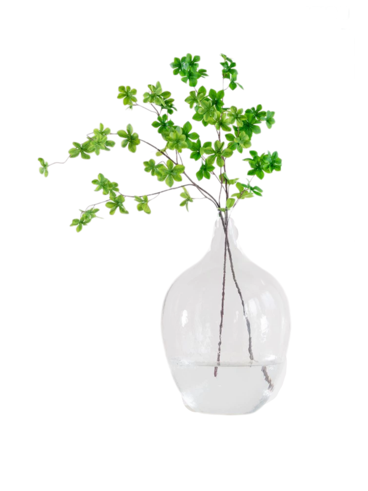 Nordic Clear Glass Vase - Large-Bell Shaped Design, Perfect for Hydroponic or Fresh Flower Arrangements