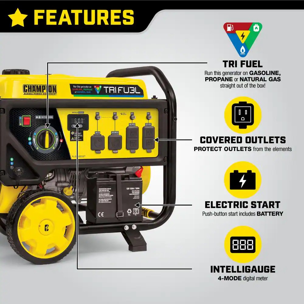 10,000/8,000-Watt Electric Start Gasoline Propane and Natural Gas Tri-Fuel Portable Generator, CO Shield, NG/LPG Hoses