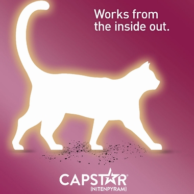 Capstar Blue For Cats And Small Dogs 2 - 25 Lbs 6 Tablet