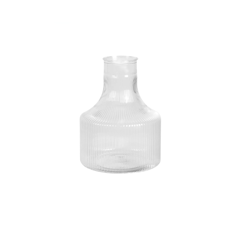 Glass-Like Hydroponic Bottle for Plants - Transparent Plastic/Resin Flower Pot for Water Cultivation