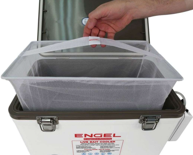 Engel 30 Qt Live Bait Cooler， White