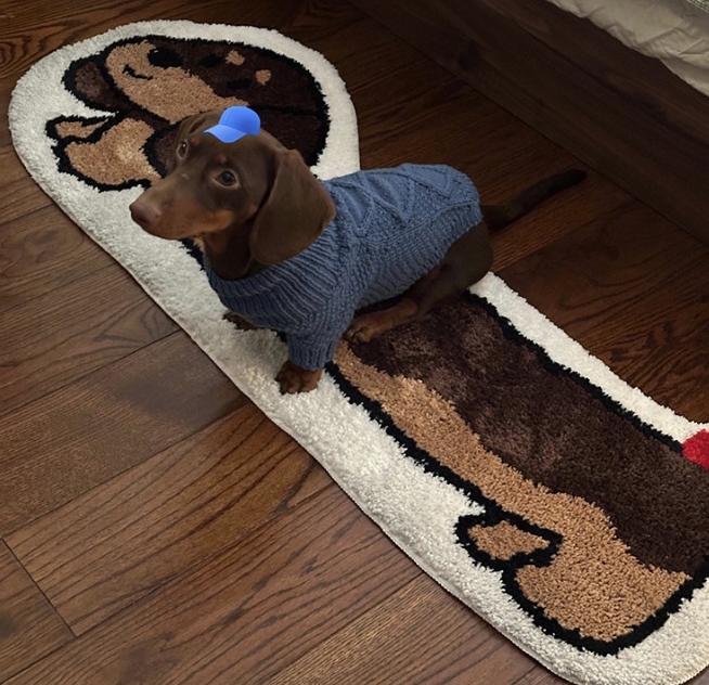 Cute Dachshund with Big Ears Fluffy Velvet Carpet – Adorable Animal Design Floor Mat