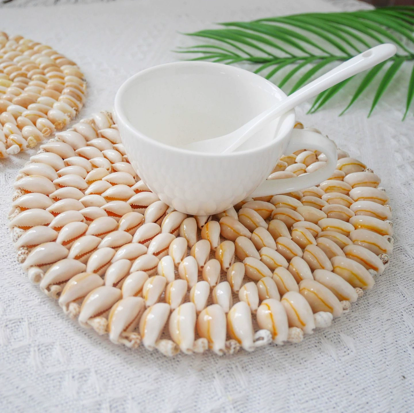 Coastal Treasure Natural Seashell Coasters