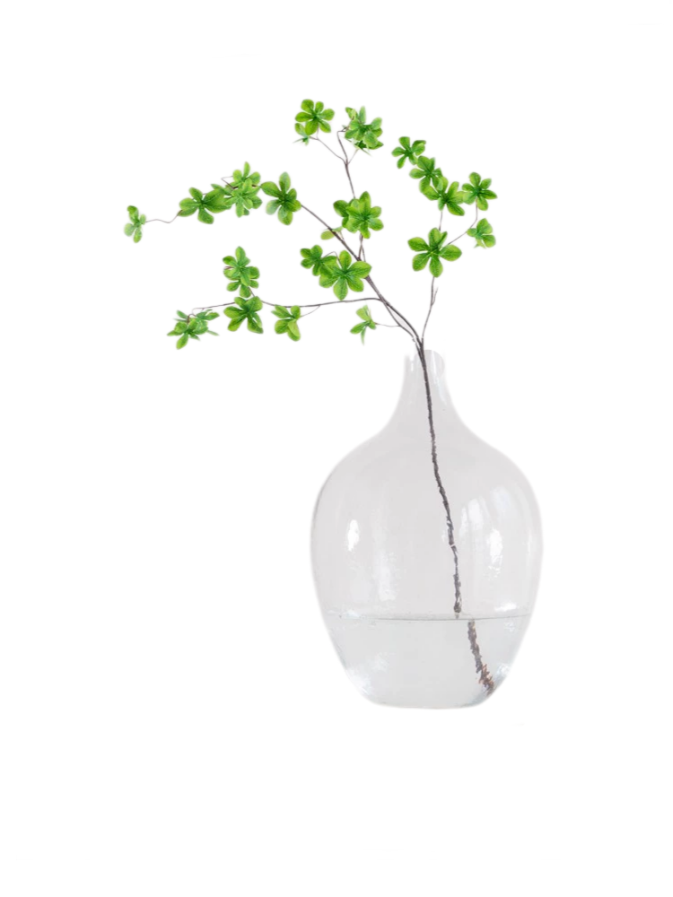 Nordic Clear Glass Vase - Large-Bell Shaped Design, Perfect for Hydroponic or Fresh Flower Arrangements