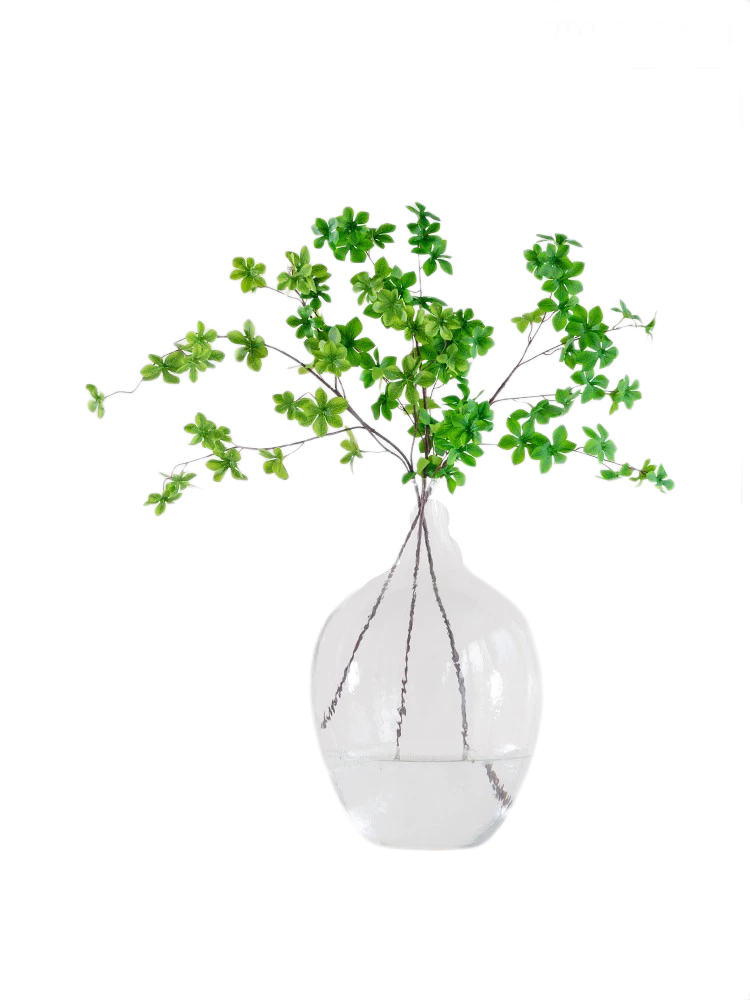 Nordic Clear Glass Vase - Large-Bell Shaped Design, Perfect for Hydroponic or Fresh Flower Arrangements