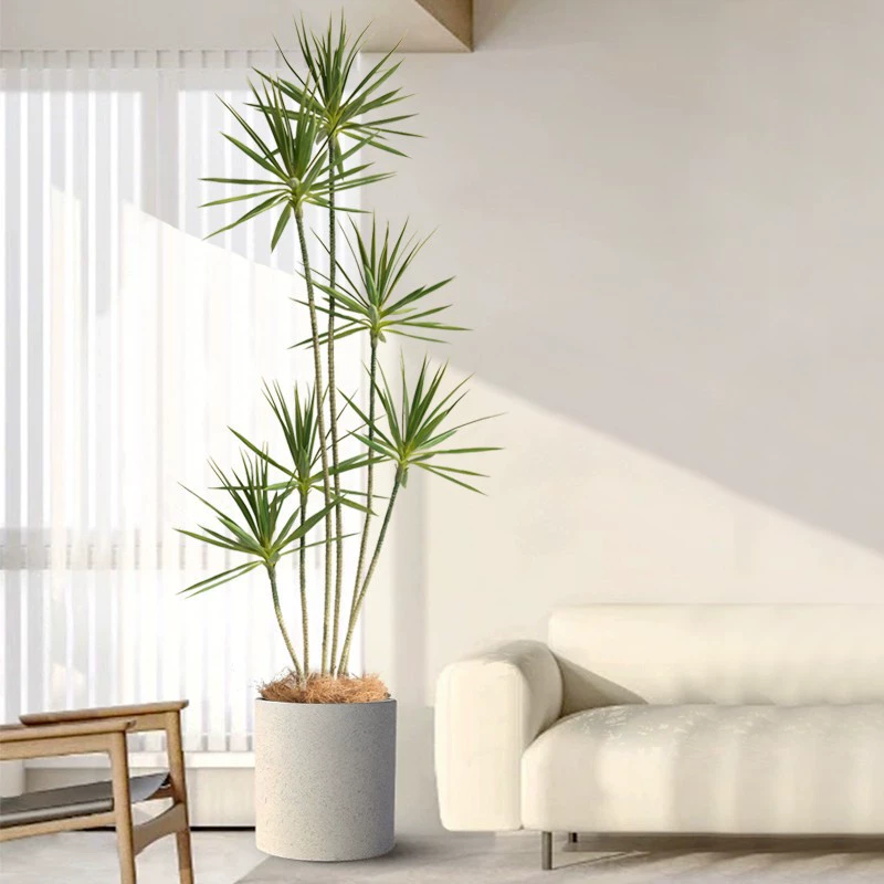 Faux Agave Plant - High-End Artificial Greenery for Living Room, Entryway, and TV Cabinet Decor