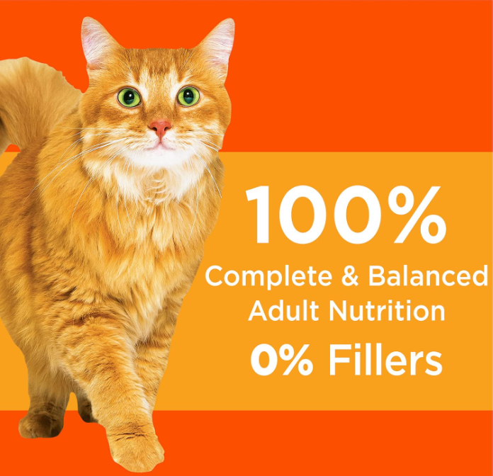 Iams Proactive Health Adult Dry Cat Food 16 Lb.