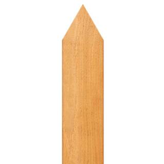 Outdoor Essentials 12 in. x 3-12 in. x 40-14 in. Western Red Cedar Pointed Top Fence Picket (18-Pack) 243756