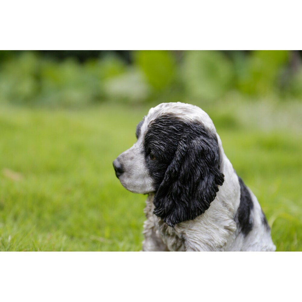 Black   White Cocker Spaniel Statue