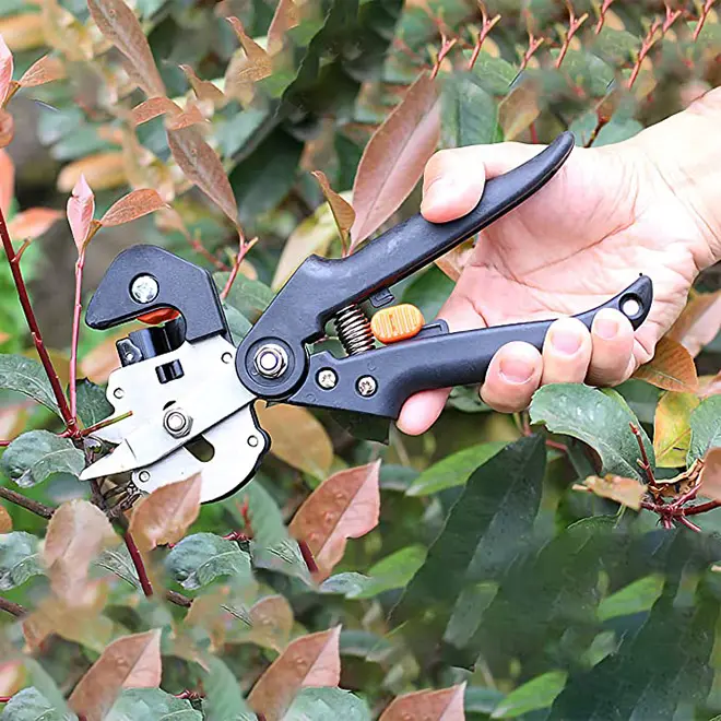 Hot Crimping Tool Pruning Shears Seedling Grafting Machine Tool Fruit Tree Grafting Grafting Shear Household Hand Tools