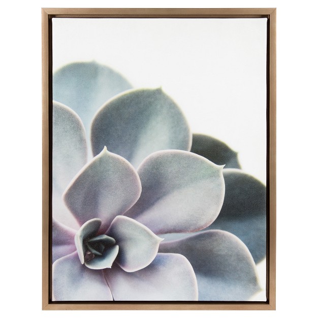 Succulents Framed Kids x27 Canvas Art Gold 24 quot x18 quot Uniek