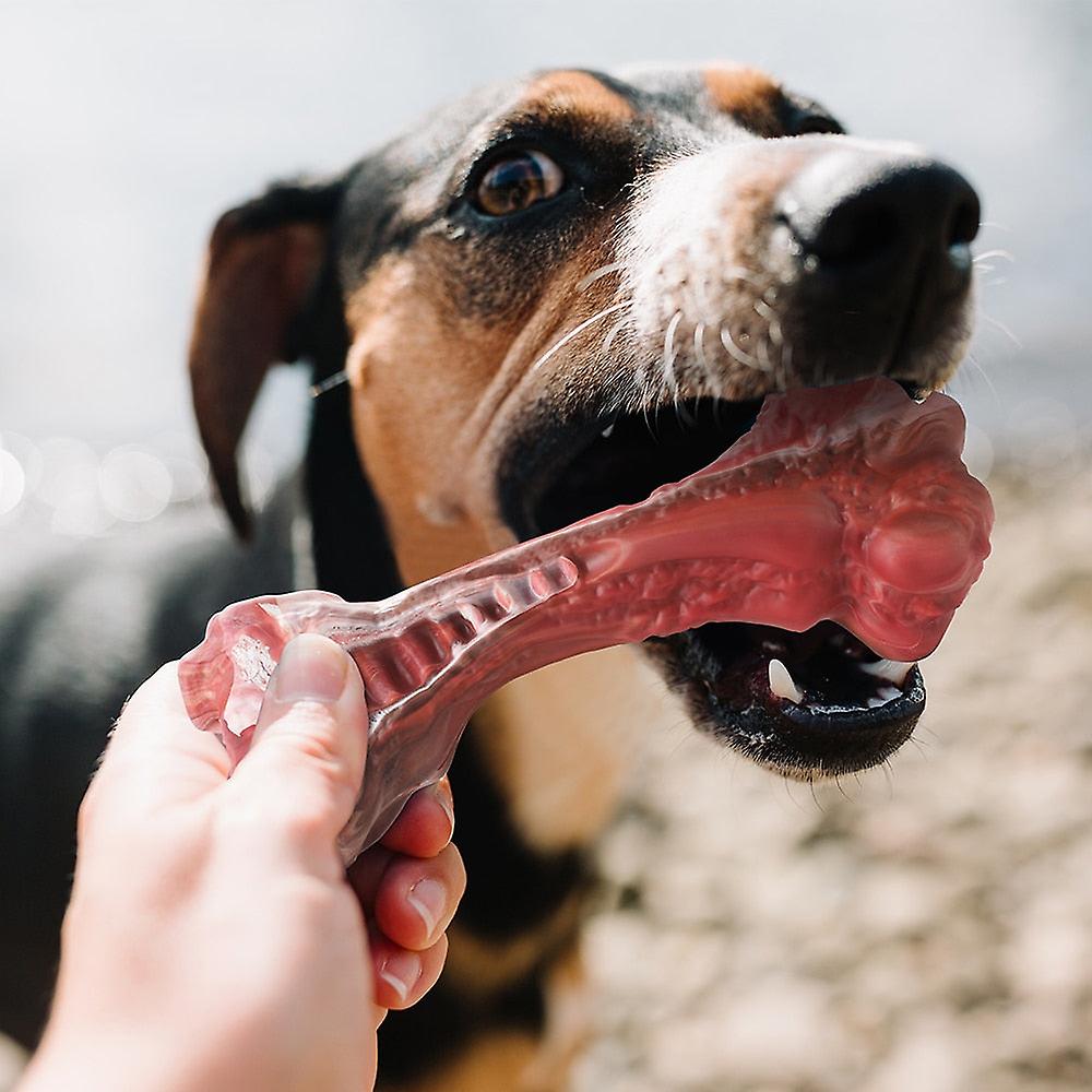 Large dogs bone shaped indestructible dog toys