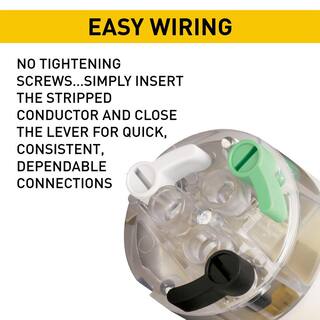 Legrand Pass  Seymour Clamp-Lock 15 Amp 125-Volt NEMA 5-15R Straight Blade Connector PS515CCLBCCV4