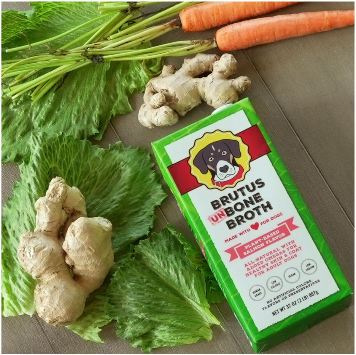 Brutus Broth Vegetable Broth Salmon Flavor Grain-Free Dog Food， 32-oz bag