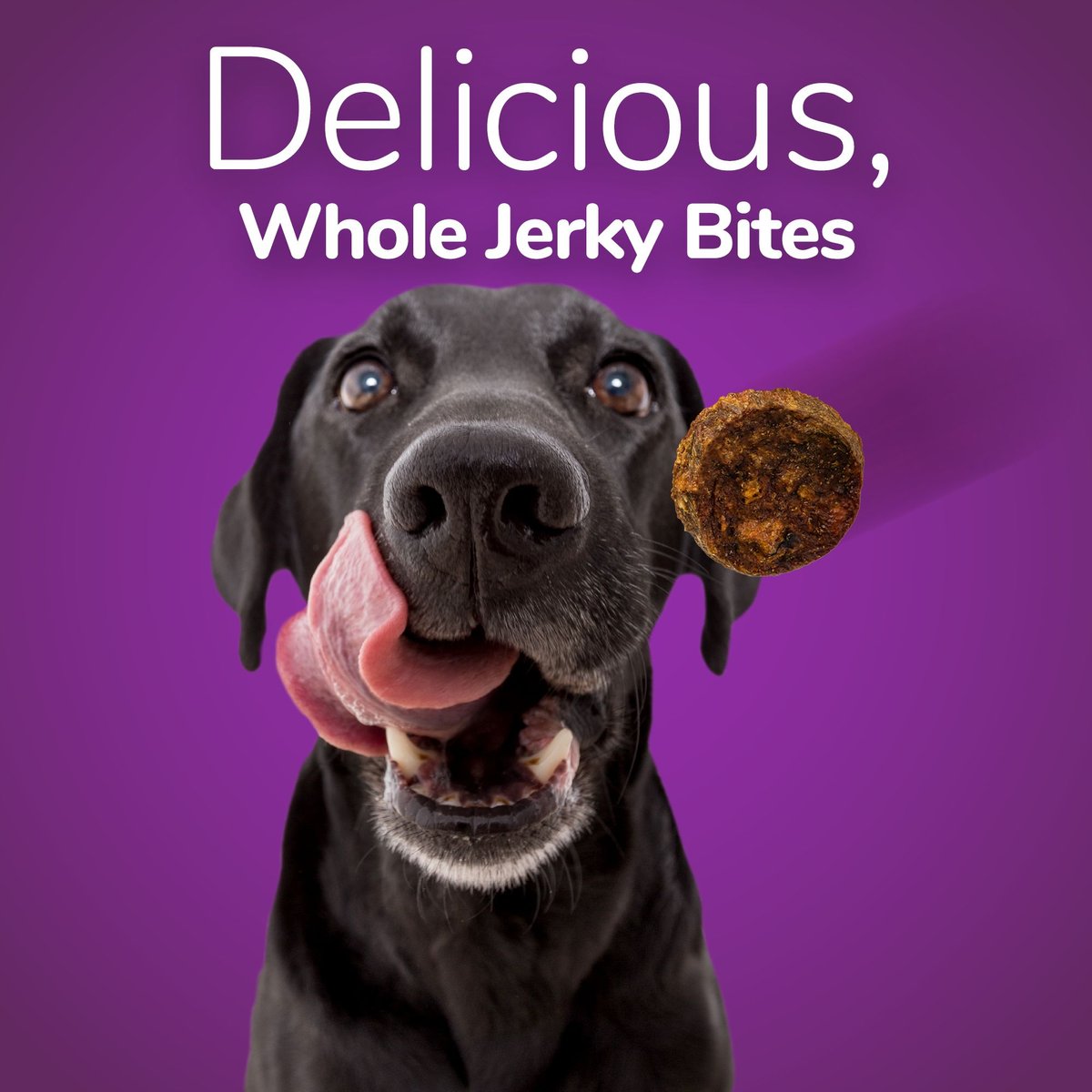 Fruitables Whole Jerky Bites Duck and Sweet Potato Dog Treats