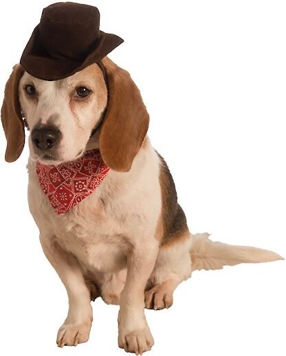 Rubie's Costume Company Cowboy Set Dog Costume