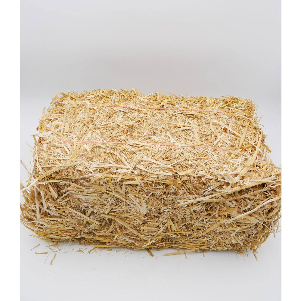 BELL NURSERY Mini Straw Bales 8 in. x 10 in. x 16 in. STRAWMINI1PK