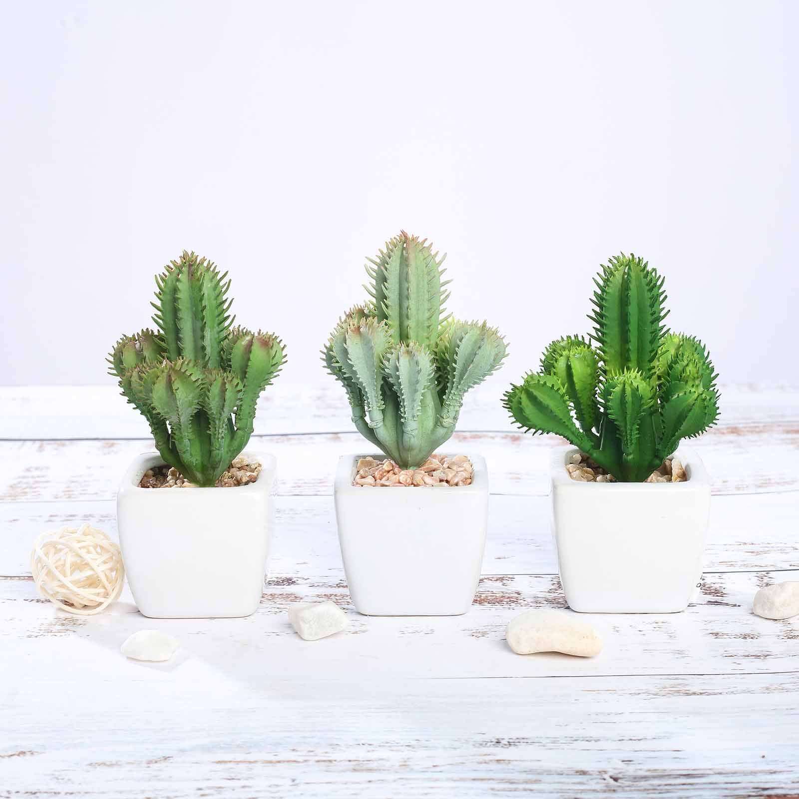 3 Pack Ceramic Planter Pot and Artificial Cacti Succulent Plants 5