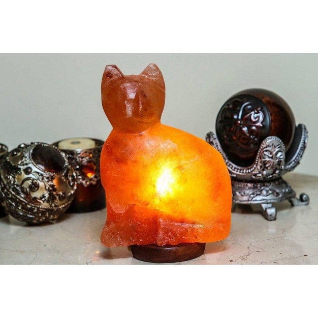 Cat Salt Lamp Pink Q amp a Himalayan Salt