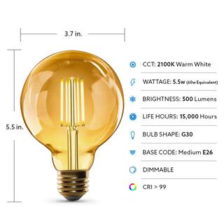 Feit Electric 60-Watt Equivalent G30 Dimmable Cage Filament Amber Glass E26 Vintage Edison LED Light Bulb Warm White G3060VGLEDHDRP