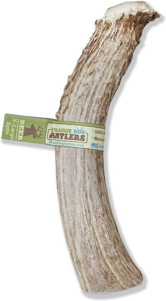 Prairie Dog Split Deer Antler Dog Chew， 7.5 - 8.5 inch