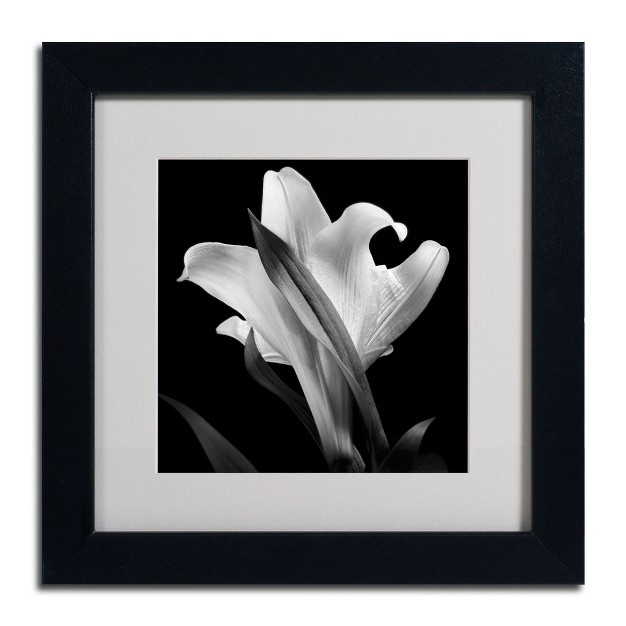 Trademark Fine Art michael Harrison x27 lily x27 Matted Framed Art