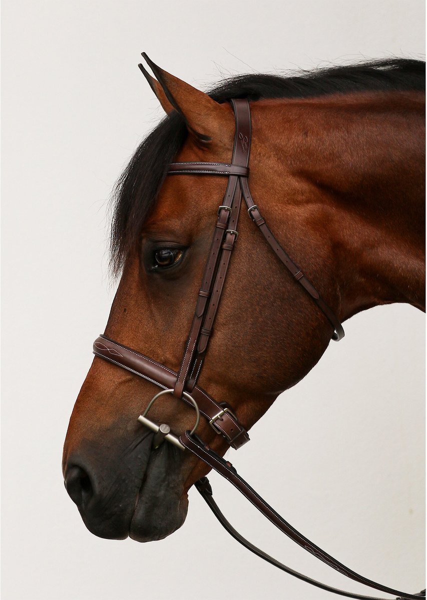 Equiline Scott Stewart Hunter Horse Bridle