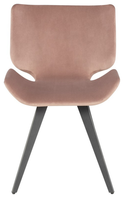 Jadon Dining Chair   Modern   Dining Chairs   by V.S.D Furniture  Houzz