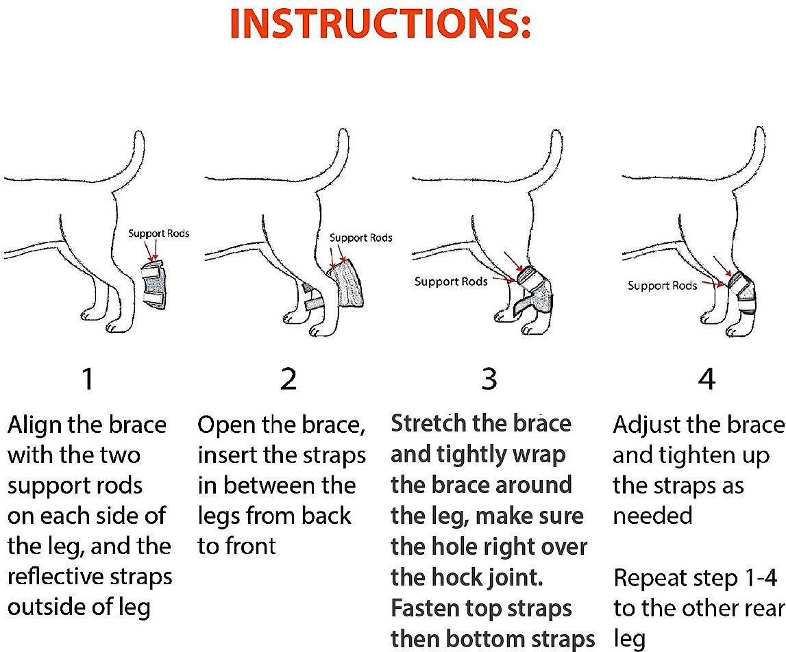 NeoAlly Back Hock Metal Spring Support Dog Brace