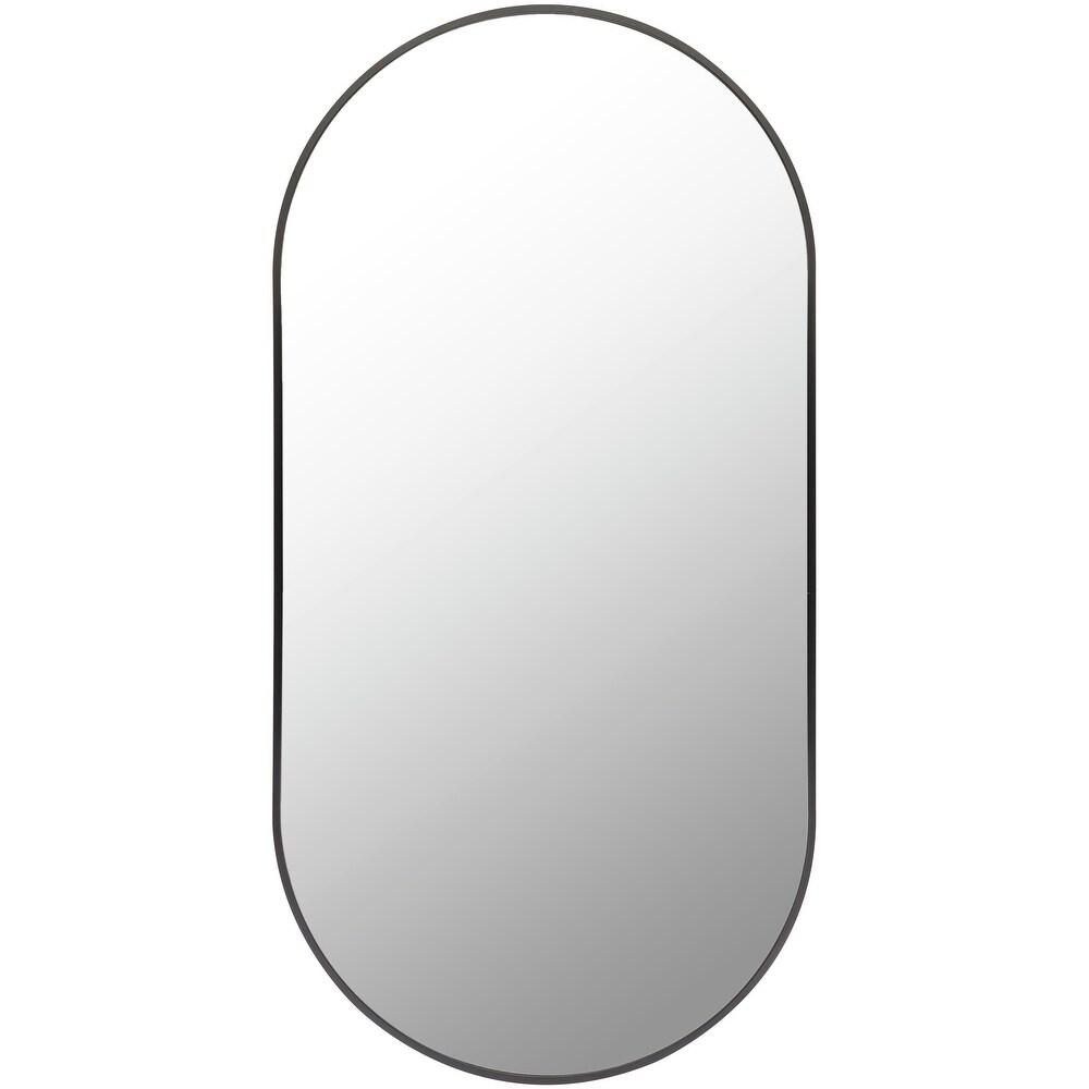 Artistic Weavers Aranya Modern Aluminum Oval Pill Shaped Accent Mirror