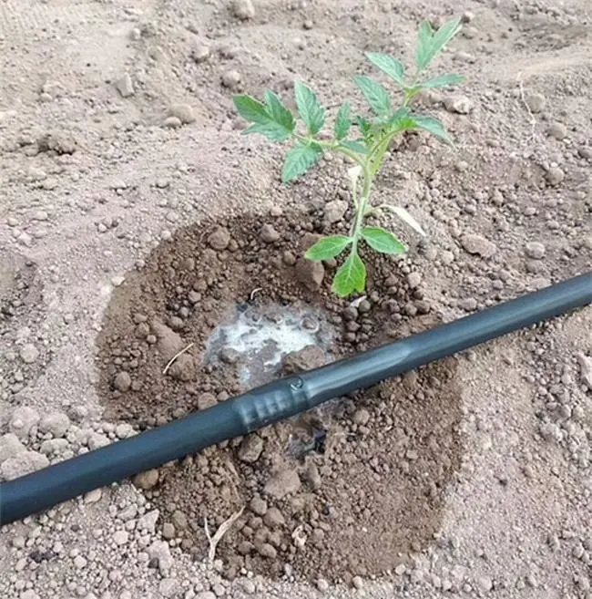 PE Plastic Irrigation Pipe Drip Irrigation Pipe With Round Emitter For Agriculture Drip Irrigation System