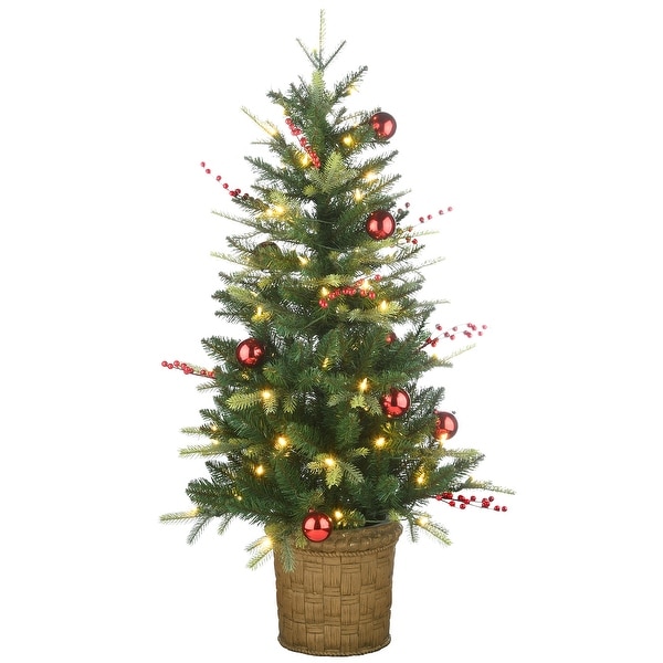 National Tree Company 4 ft. Scotch Creek Fir Entrance Tree with LED Lights