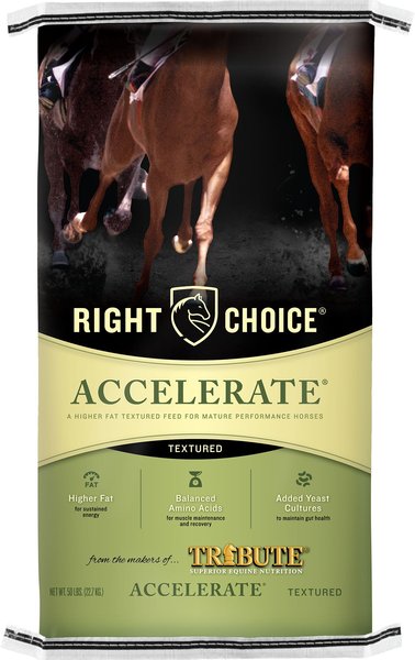 Right Choice Accelerate Horse Feed