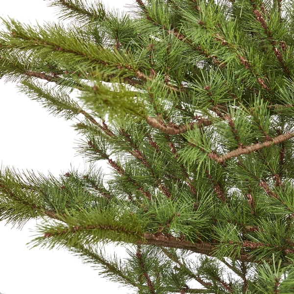 7' Vancouver Mountain Pine Christmas Tree with 374 Branches