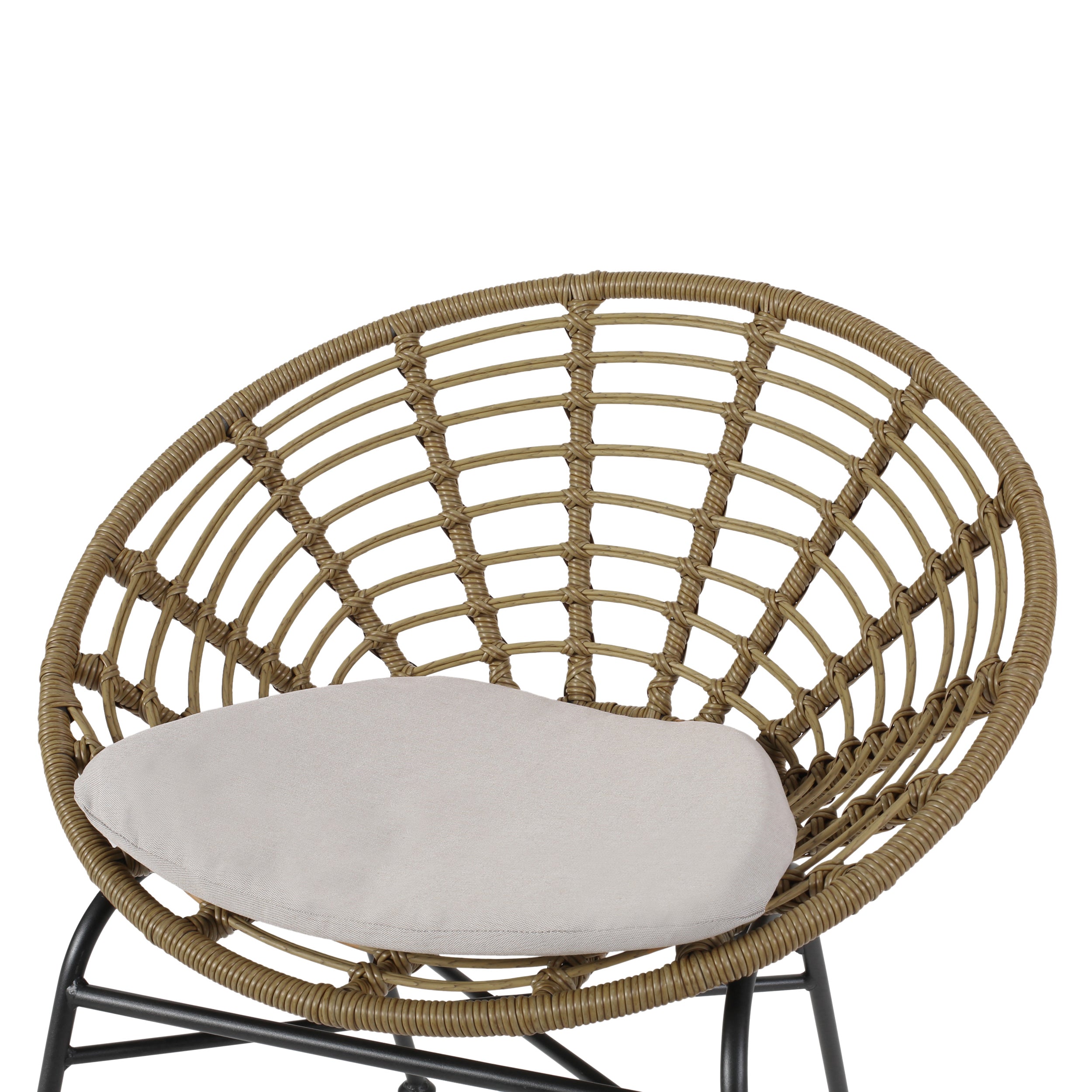 Keegan Outdoor Wicker Dining Chair with Cushion (Set of 2)