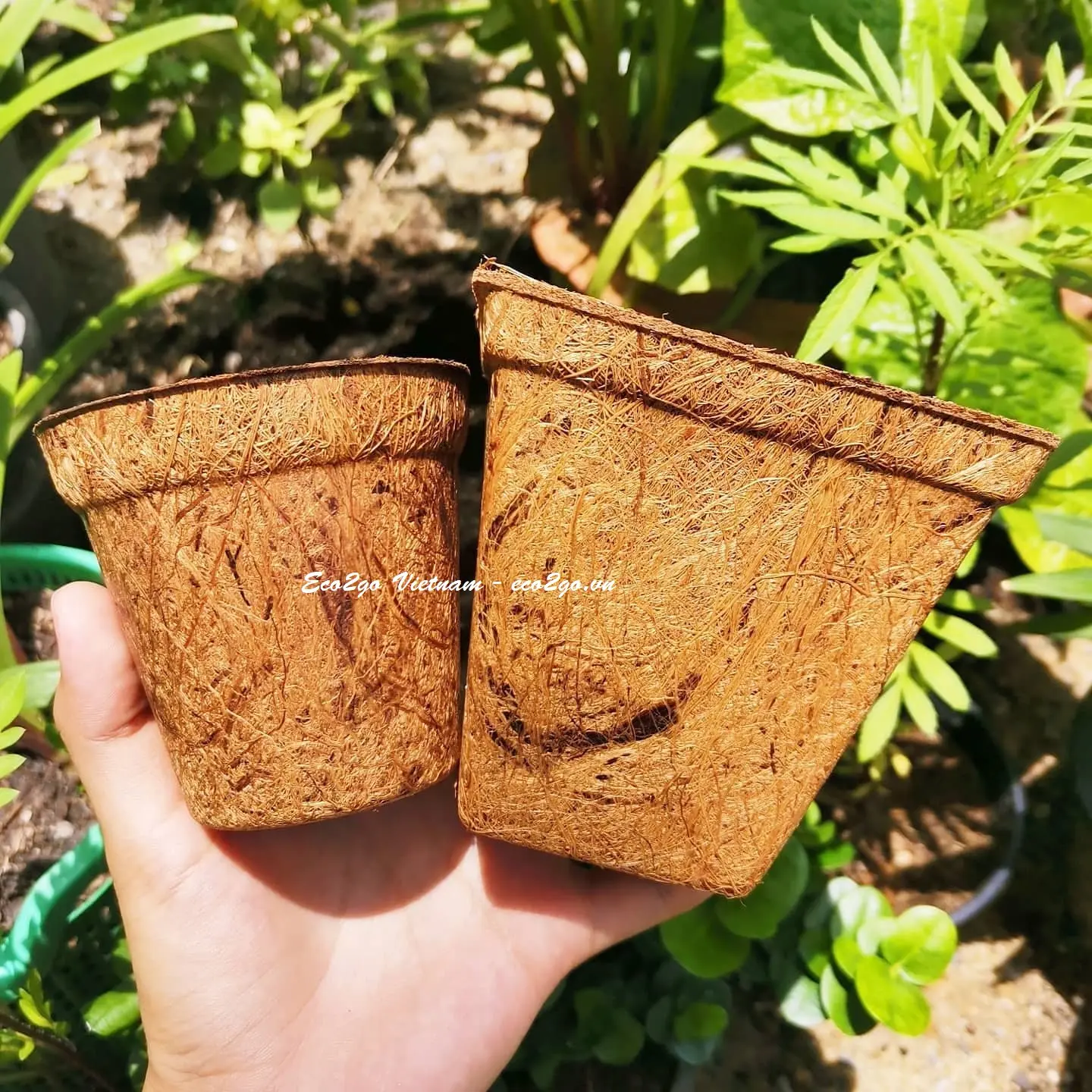 Solution Garden Supplies Coconut Coir Fiber Pot/ Coconut Plant Pot High Quality And Free Sample From Eco2go Vietnam