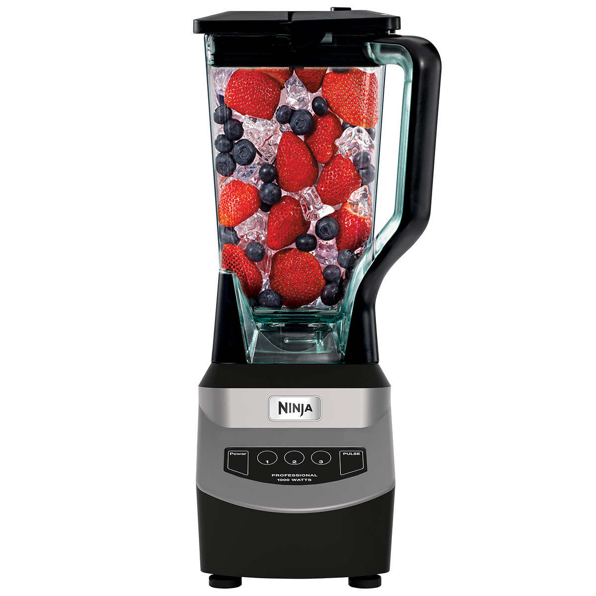 Ninja Professional 1000 Watt Blender