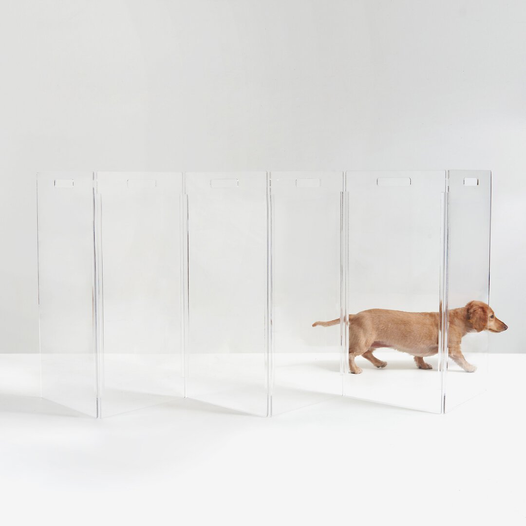 Hiddin Clear View Zig Zag Freestanding Dog Gate