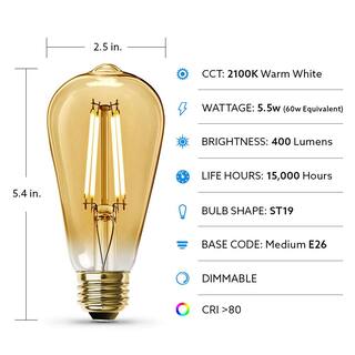 Feit Electric 60W Equivalent ST19 Dimmable Straight Filament Amber Glass Vintage Edison LED Light Bulb Warm White (4-Pack) ST19LEDHDRP4