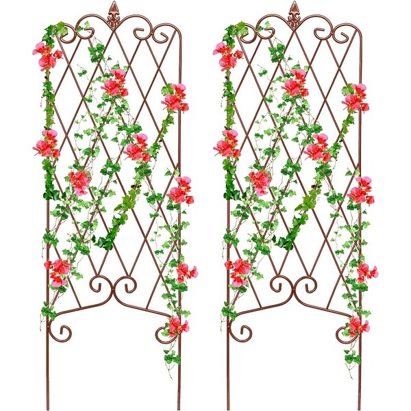 2 Pack Garden Trellis Iron Plant Support Climbing Vines