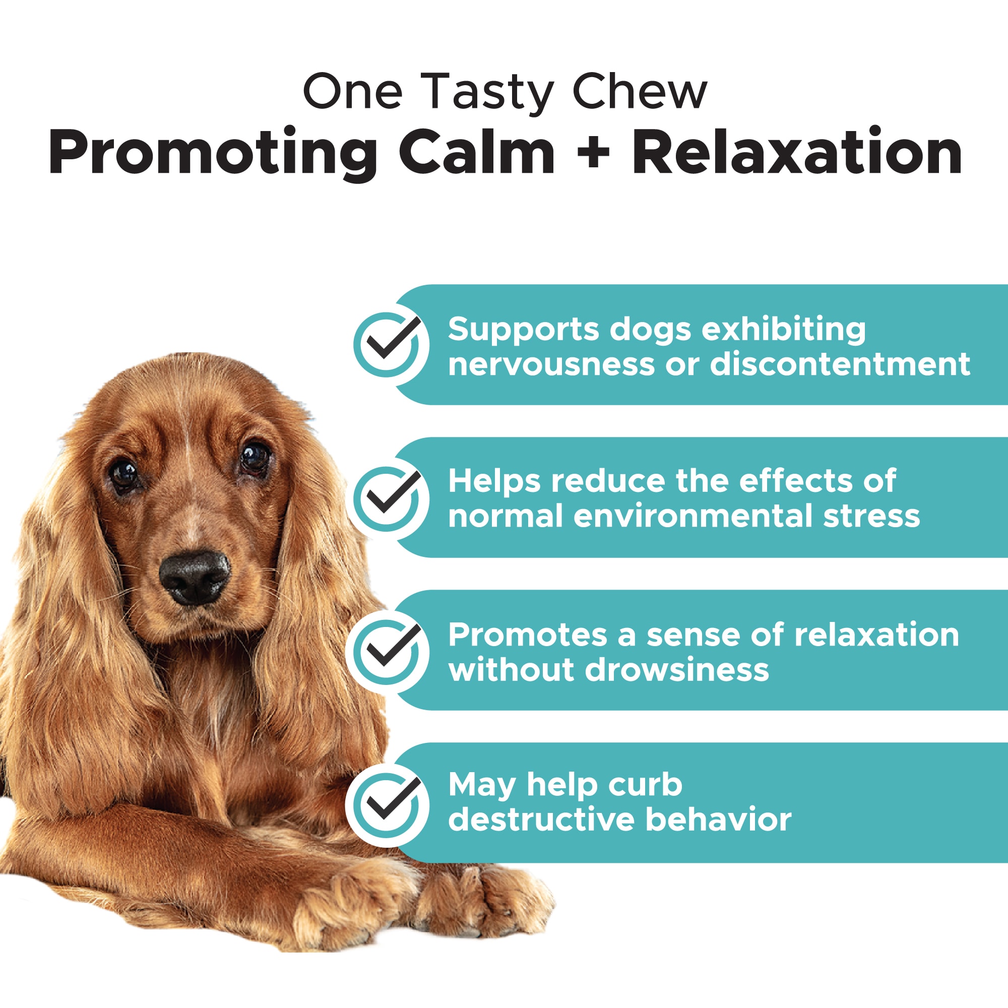 Pet Honesty Hemp Calming Soft Chews for Dogs， Count of 90