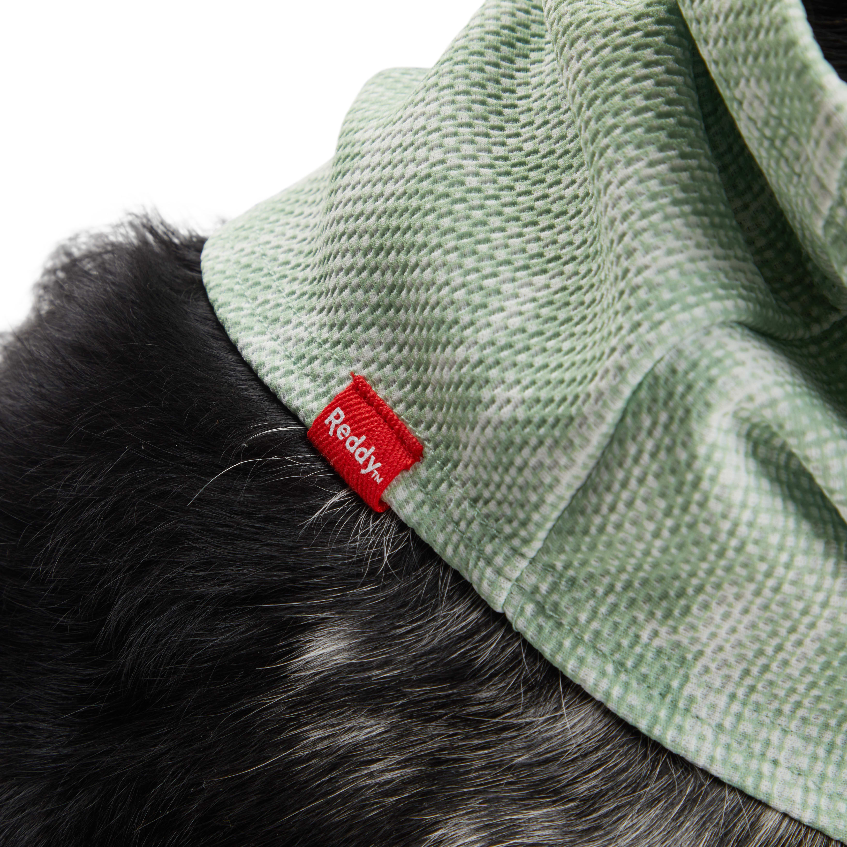 Reddy Green Neck Gaiter for Dogs， X-Small/Small