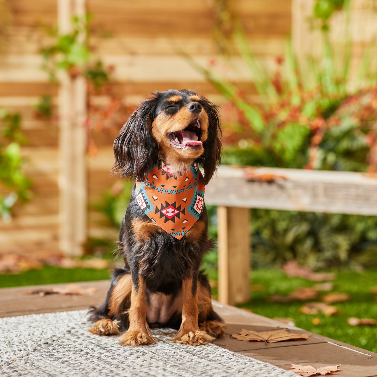 Frisco Southwest Dog and Cat Bandana