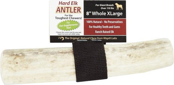 Wapiti Labs Whole Elk Antlers Dog Chews