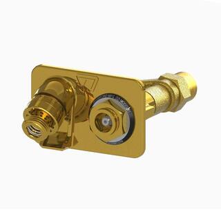 Woodford 34 in. Female SWT x Close Coupled Freezeless Polished Brass Anti-Siphon Wall Hydrant 65C-CC-PB