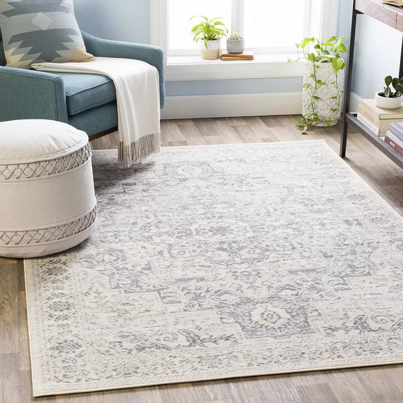 Troyes Traditional Area Rug