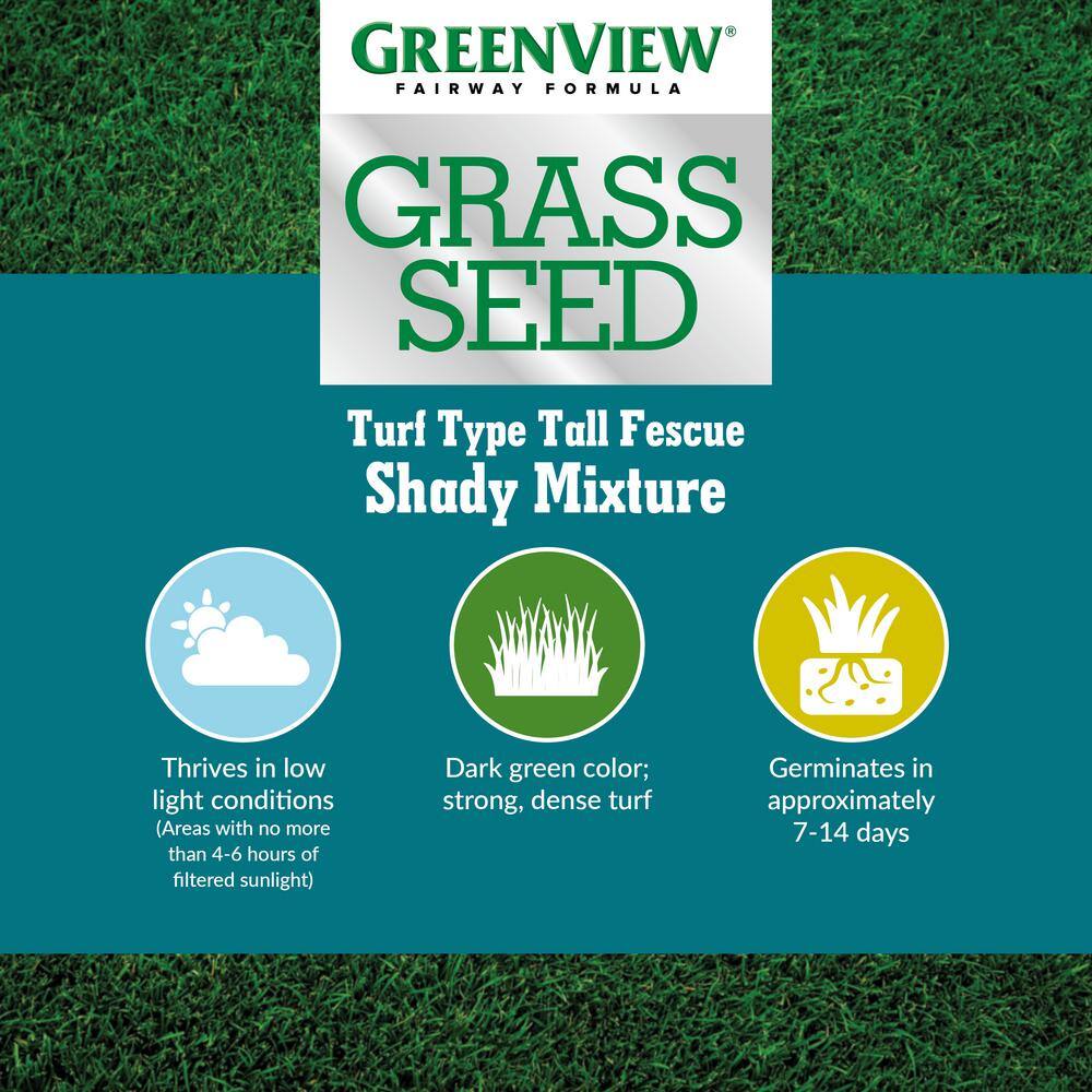 GreenView 7 lbs. Fairway Formula Grass Seed Turf Type Tall Fescue Shady Mixture 2829350