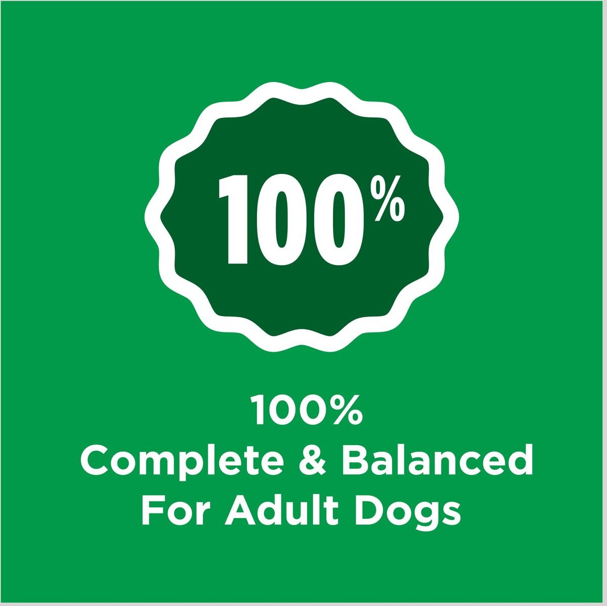 Dog Chow Complete Adult with Real Chicken Dry Dog Food